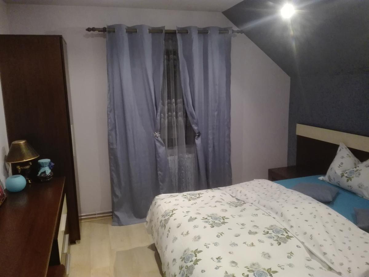 Casa De Vacanta Silvia Vărmaga 客房 照片