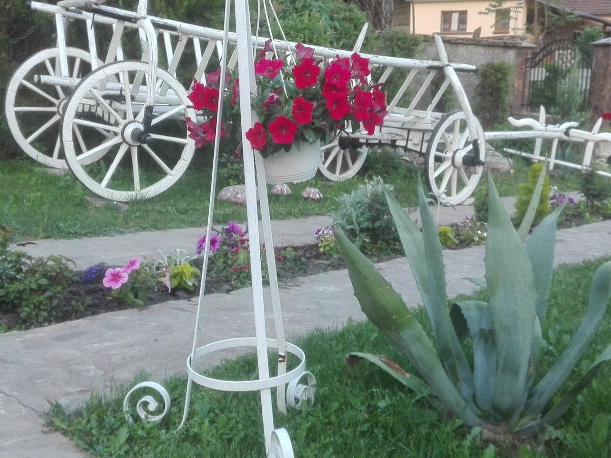 Casa De Vacanta Silvia Vărmaga 外观 照片