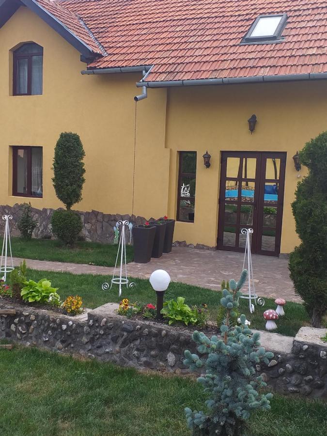 Casa De Vacanta Silvia Vărmaga 外观 照片